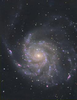 M101